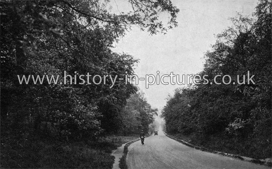 Epping Road, Epping Forest, Essex. c.1915